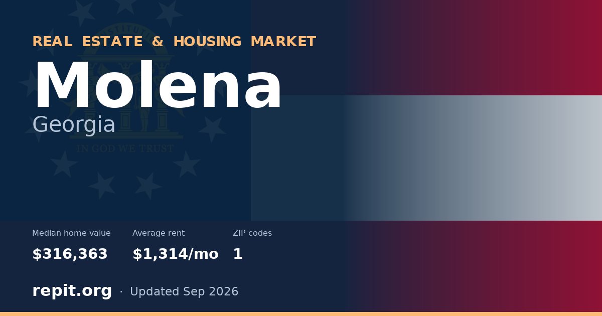 Molena, GA real estate and housing market — median home value $316,363, average rent $1,314/mo, 1 ZIP code