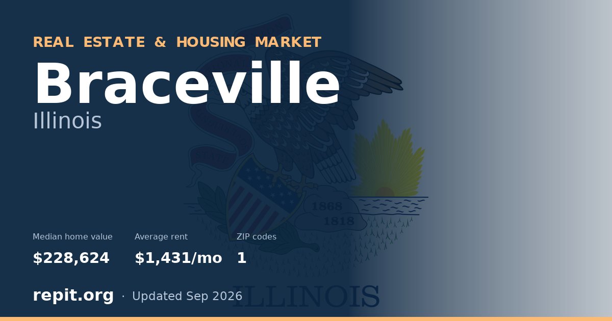 Braceville, IL real estate and housing market — median home value $228,624, average rent $1,431/mo, 1 ZIP code