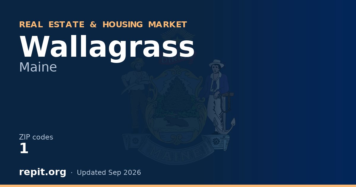 Wallagrass, ME real estate and housing market — 1 ZIP code