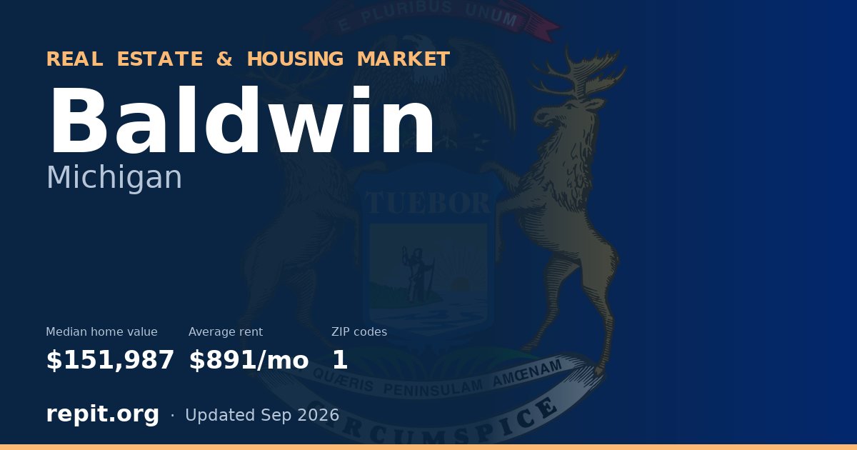 Baldwin, MI real estate and housing market — median home value $151,987, average rent $891/mo, 1 ZIP code