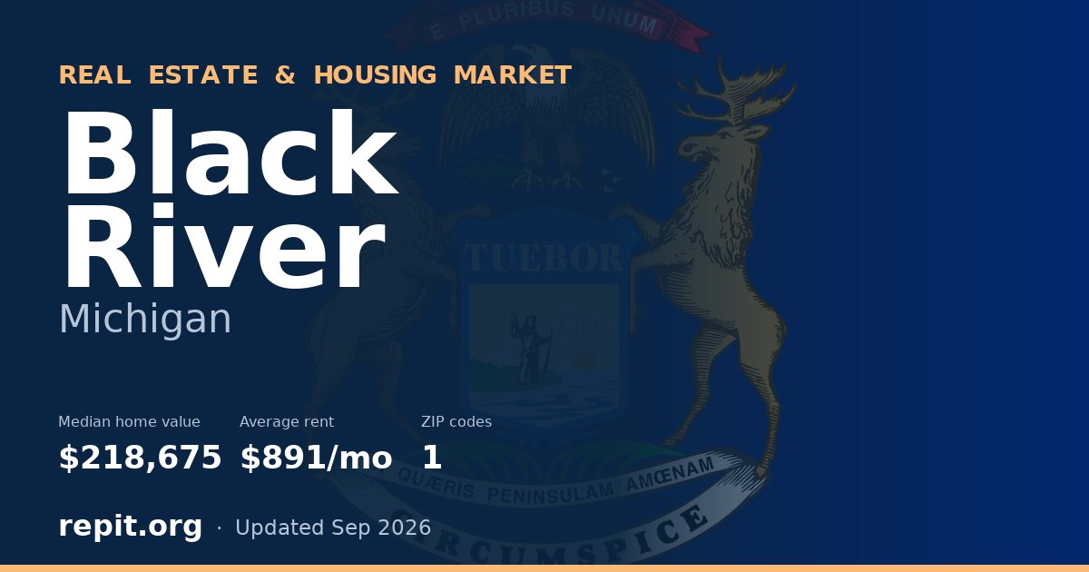 Black River, MI real estate and housing market — median home value $218,675, average rent $891/mo, 1 ZIP code