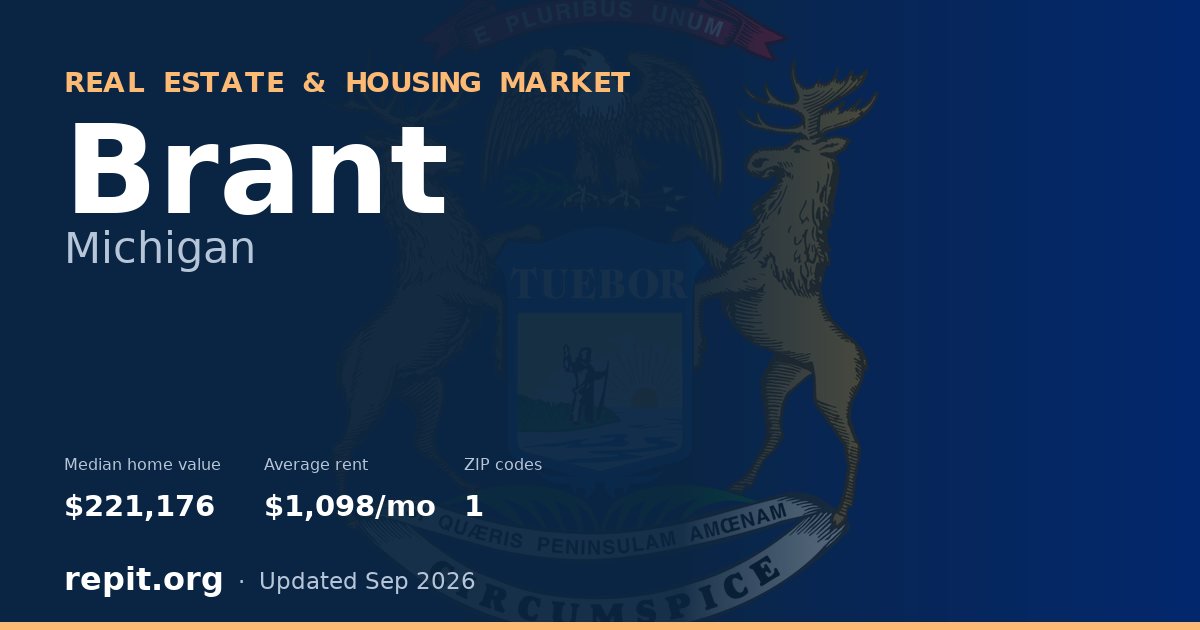 Brant, MI real estate and housing market — median home value $221,176, average rent $1,098/mo, 1 ZIP code
