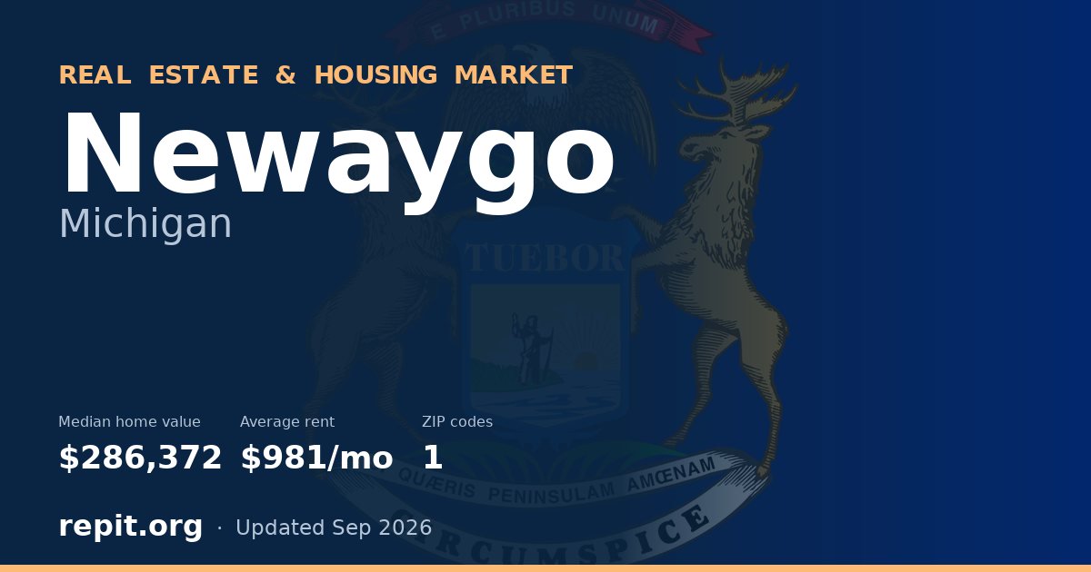 Newaygo, MI real estate and housing market — median home value $286,372, average rent $981/mo, 1 ZIP code