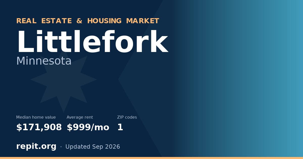 Littlefork, MN real estate and housing market — median home value $171,908, average rent $999/mo, 1 ZIP code