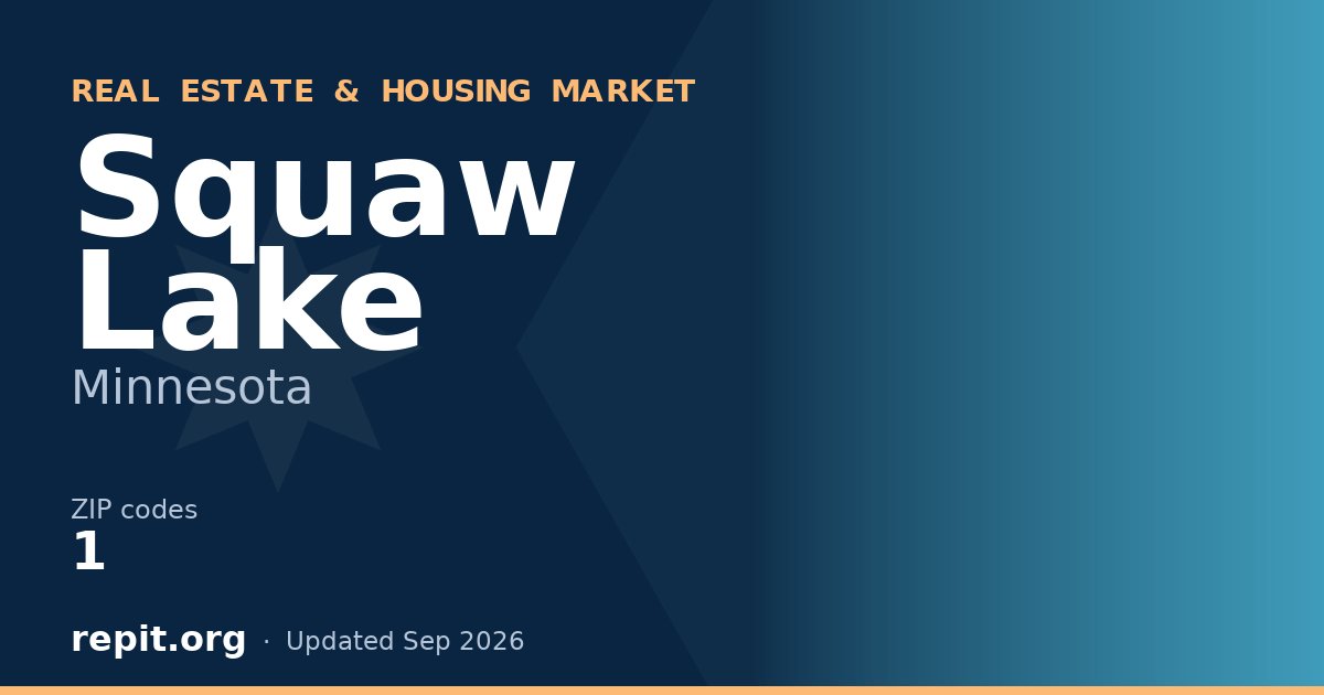 Squaw Lake, MN real estate and housing market — 1 ZIP code