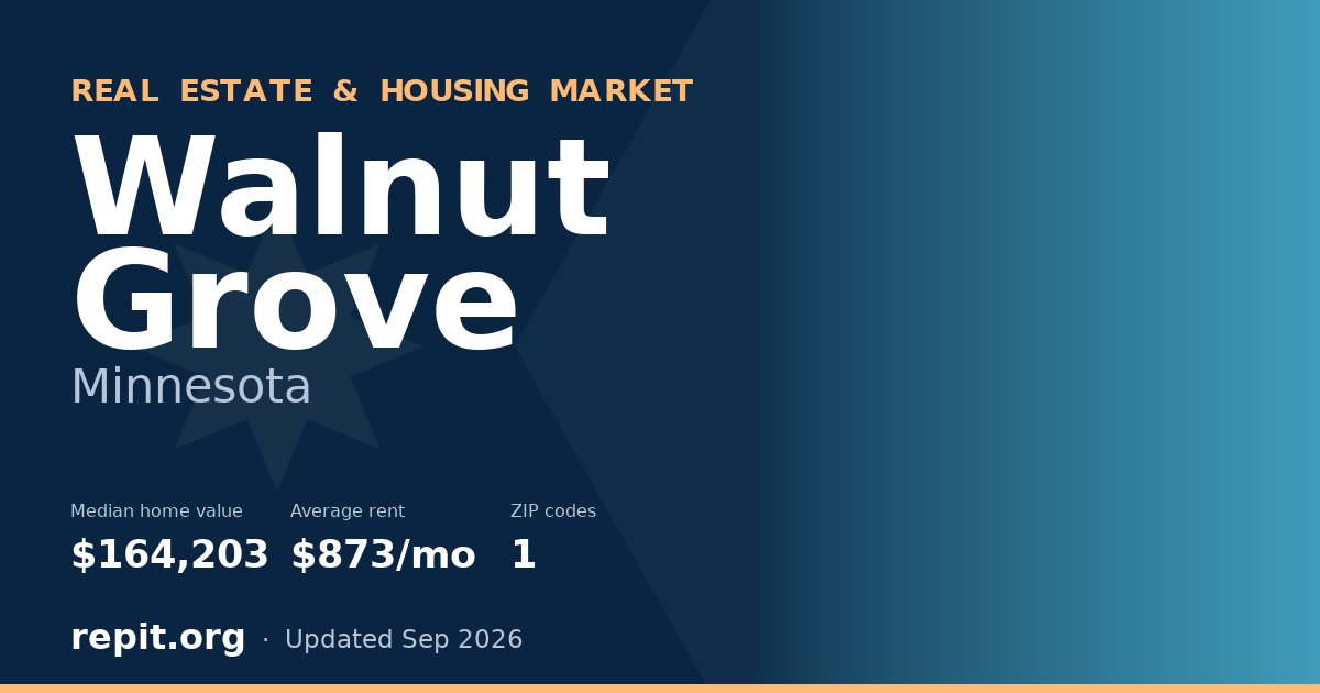 Walnut Grove, MN real estate and housing market — median home value $164,203, average rent $873/mo, 1 ZIP code