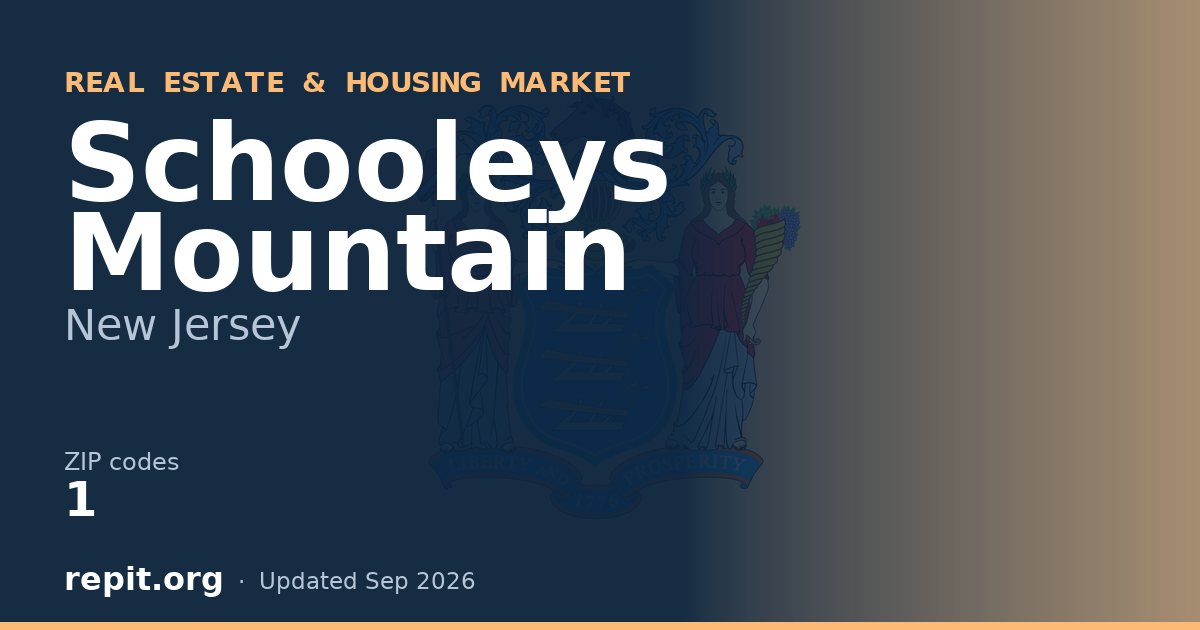 Schooleys Mountain, NJ real estate and housing market — 1 ZIP code