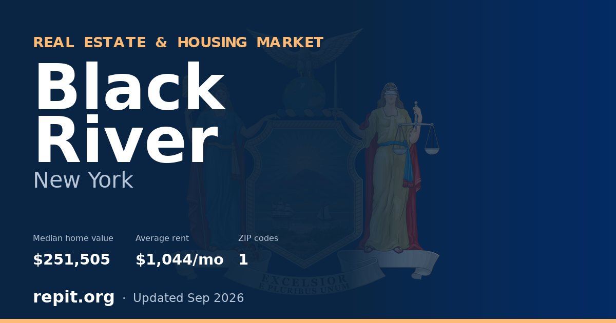 Black River, NY real estate and housing market — median home value $251,505, average rent $1,044/mo, 1 ZIP code