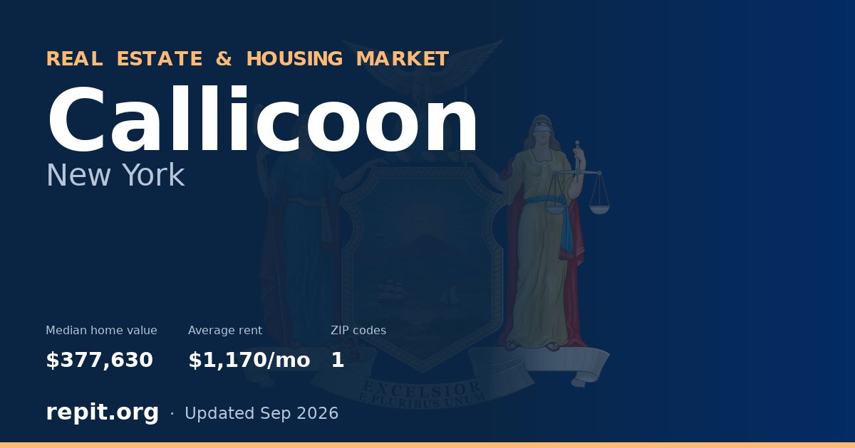 Callicoon, NY real estate and housing market — median home value $377,630, average rent $1,170/mo, 1 ZIP code
