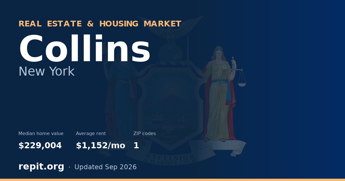 Collins, NY real estate and housing market — median home value $229,004, average rent $1,152/mo, 1 ZIP code