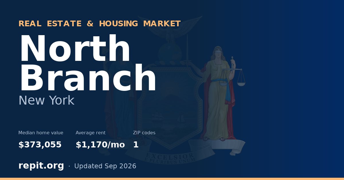 North Branch, NY real estate and housing market — median home value $373,055, average rent $1,170/mo, 1 ZIP code