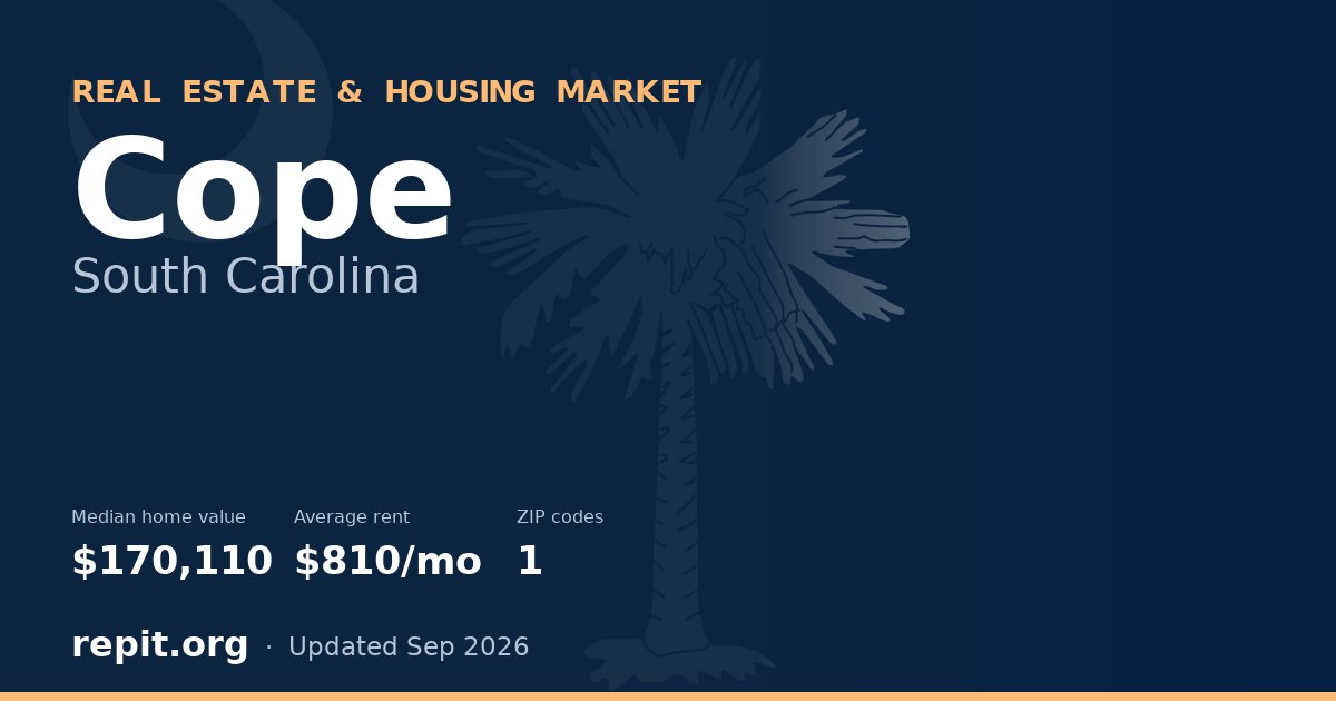 Cope, SC real estate and housing market — median home value $170,110, average rent $810/mo, 1 ZIP code