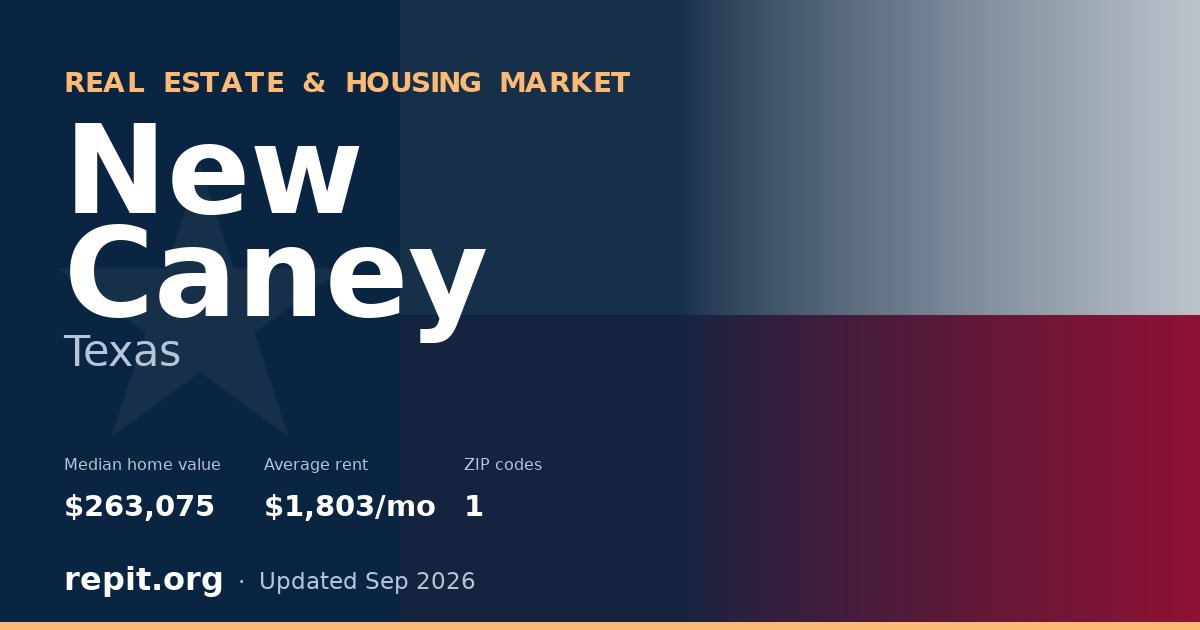 New Caney, TX real estate and housing market — median home value $263,075, average rent $1,803/mo, 1 ZIP code