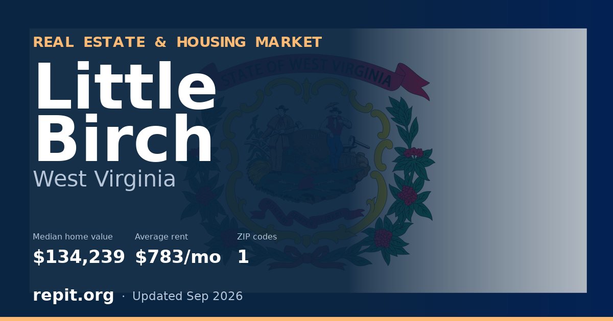 Little Birch, WV real estate and housing market — median home value $134,239, average rent $783/mo, 1 ZIP code