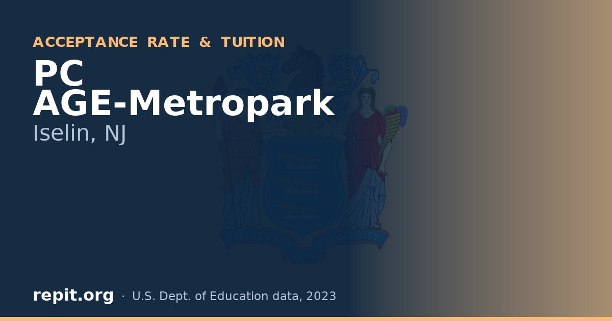 PC AGE-Metropark