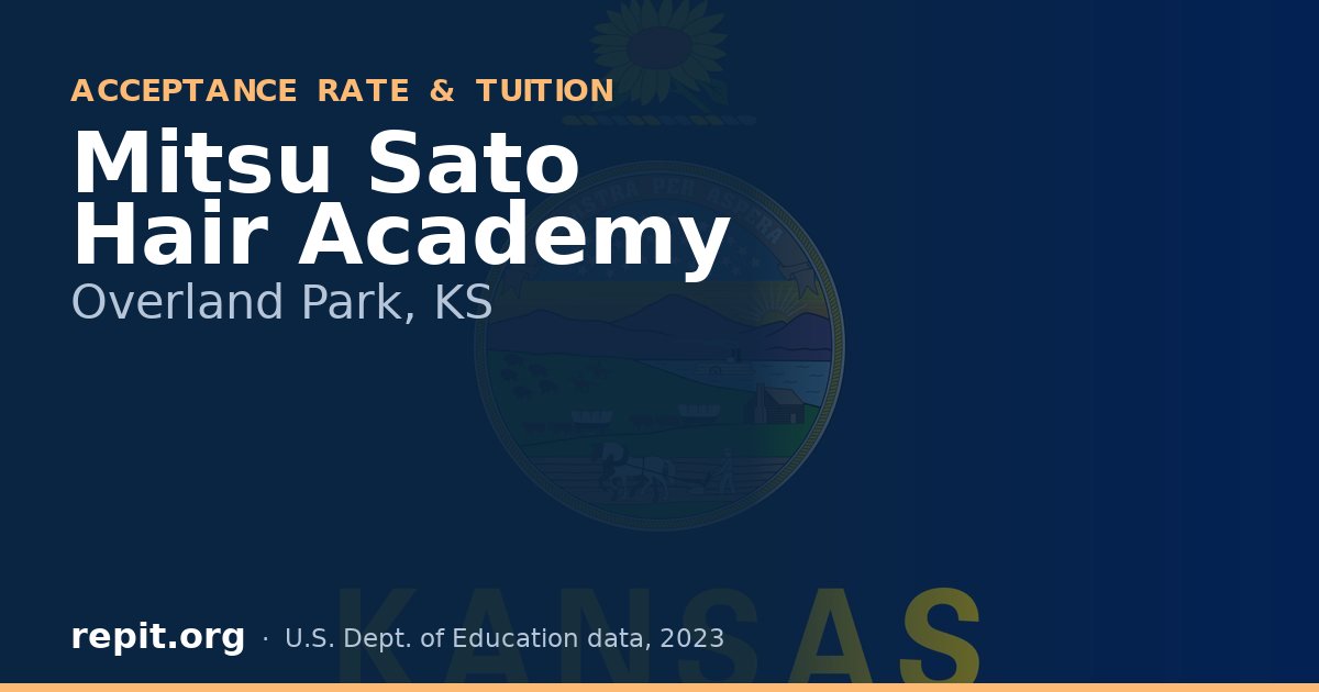 Mitsu Sato Hair Academy