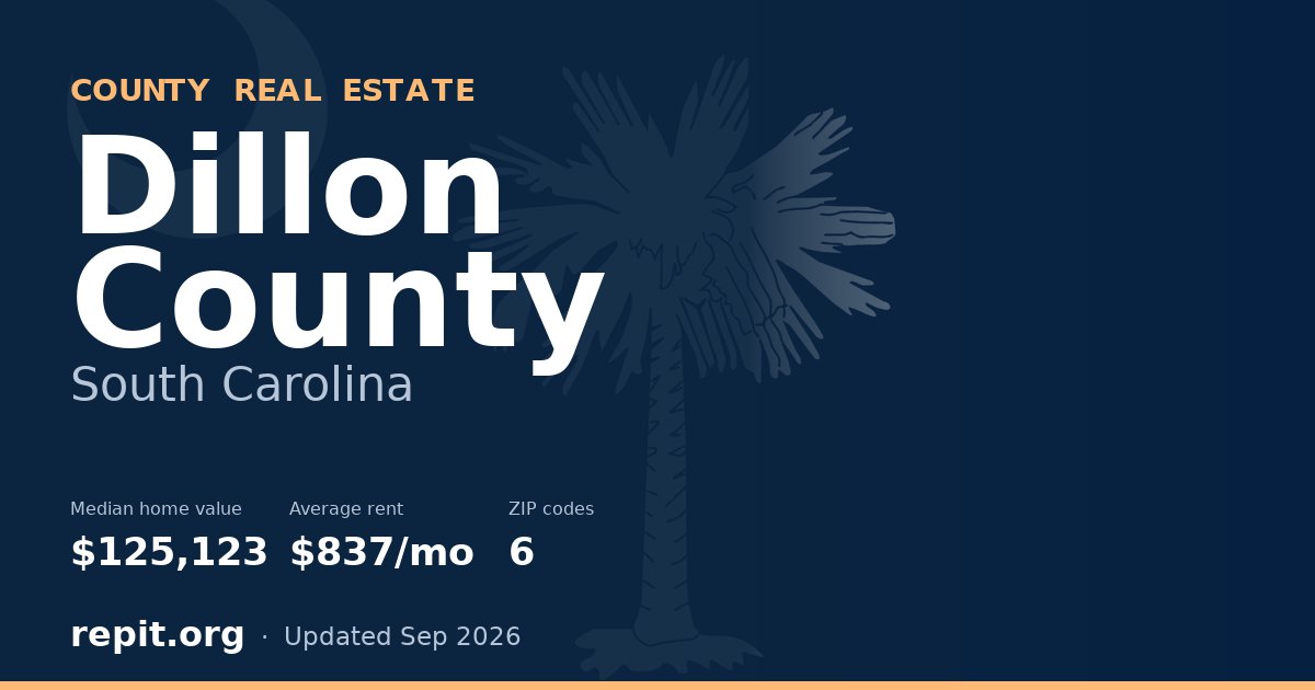 Dillon County, SC real estate — median home value $125,123, average rent $837/mo