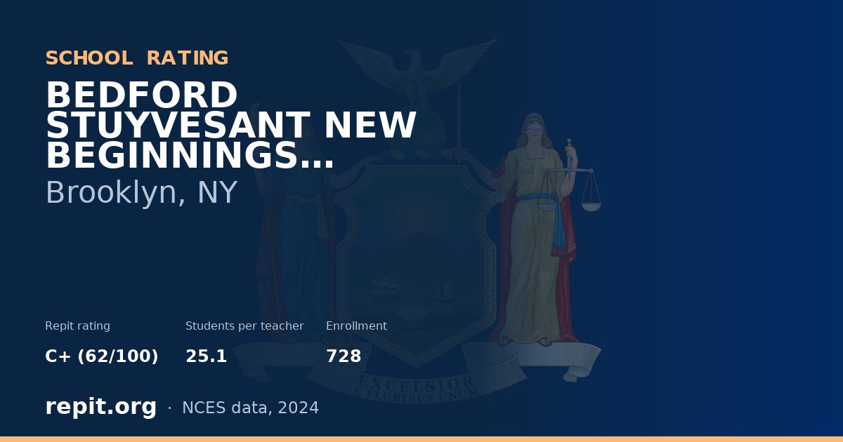 BEDFORD STUYVESANT NEW BEGINNINGS CHARTER SCHOOL, Brooklyn, NY — Repit school rating C+ (62/100)